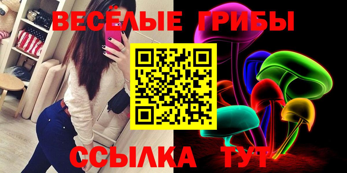 Волгоград  Галлюциногенные грибы GOLDEN TEACHER  Галлюциногенные грибы GOLDEN TEACHER  Вход с VPN 