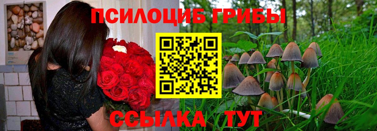 Галлюциногенные грибы Magic Shrooms Волгоград